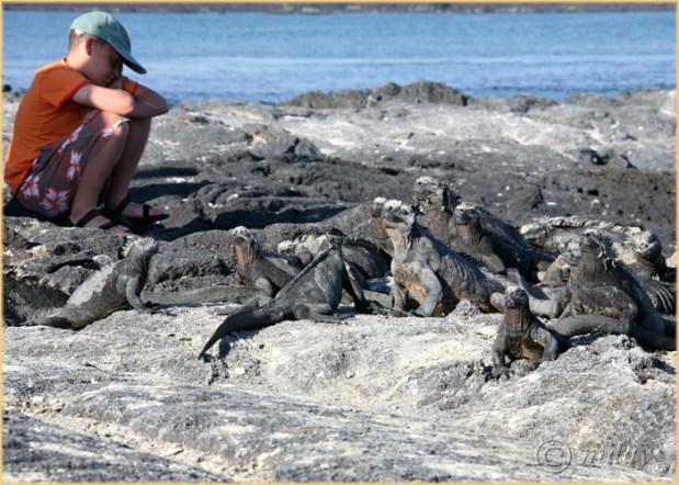 5.5Dc0016(2)Iguanas&Boy(5x7,100cpywrite)