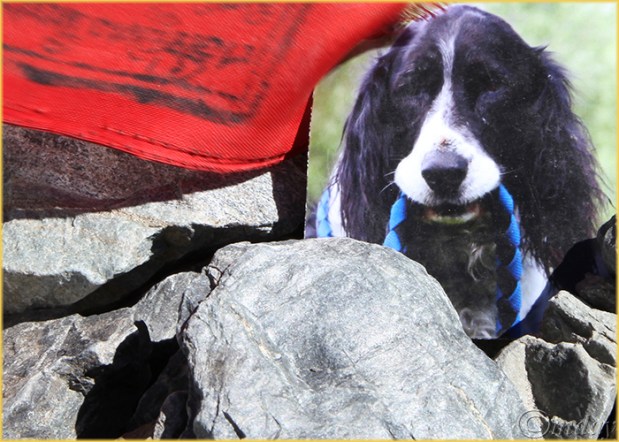 6.5Dll*c0440Andy&PrayerFlagsEveresrBC(5x7,100r,cpywrt)