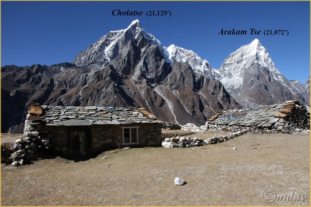10.5Dll*b9831Cholatse&ArakamTse(7x5x5L5,cpywrt)