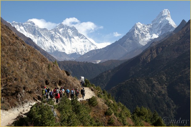 13.5Dll*b8506TrekPhortse(7.5x5,cpywrt)