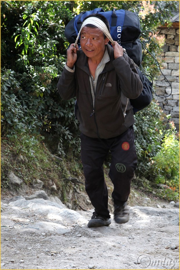 15.5Dll*b7932PorterLoad(7.5x5,cpywrt)