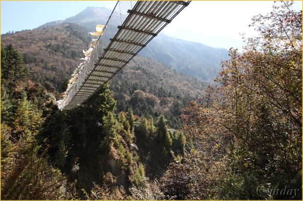 20.5Dll*c1314SuspensionBridge(7.5x5,cpywrt)