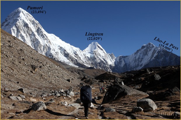 31.+5Dll*c0161PumoriRange(7x5x5L5,cpywrt)