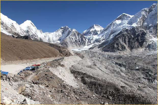 32.5Dll*c0278GoarkShep(7.5x5,cpywrt)