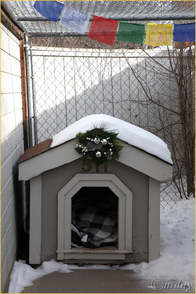 5Dll*c2768KidsDoghouseChristmas'12(7.5x5,cpywrt)