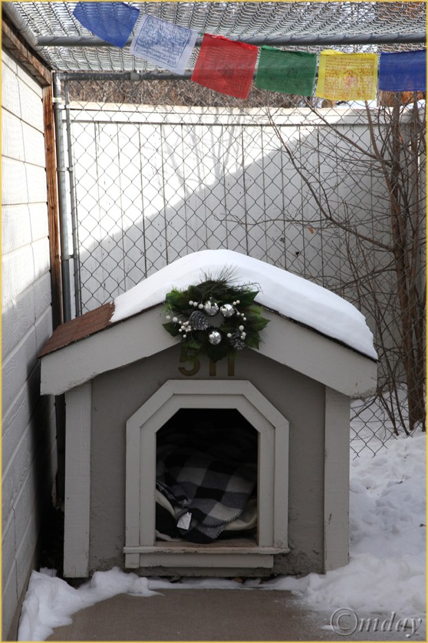 5Dll*c2768KidsDoghouseChristmas'12(7.5x5,cpywrt)