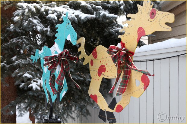 8.5Dll*c2735WildPoniesChristmas'12(7.5x5,cpywrt)