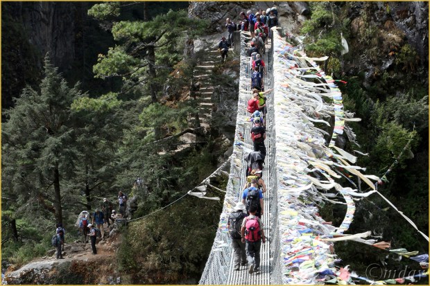 9.5Dll*b7995SuspensionBridge(7.5x5,cpywrt)