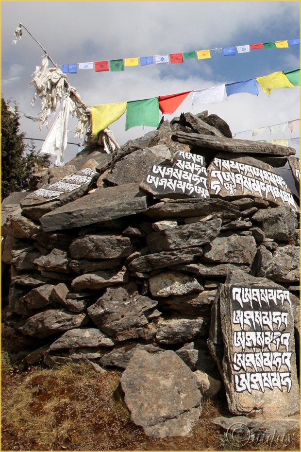 10.5Dll*b8700ManiStones(7.5x5,cpywrt)