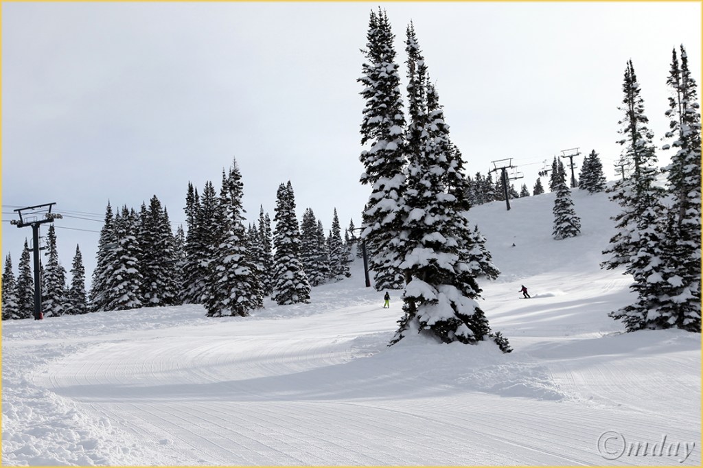 5Dll*c2933SteamboatFeb'13(7.5x5,cpywrt)