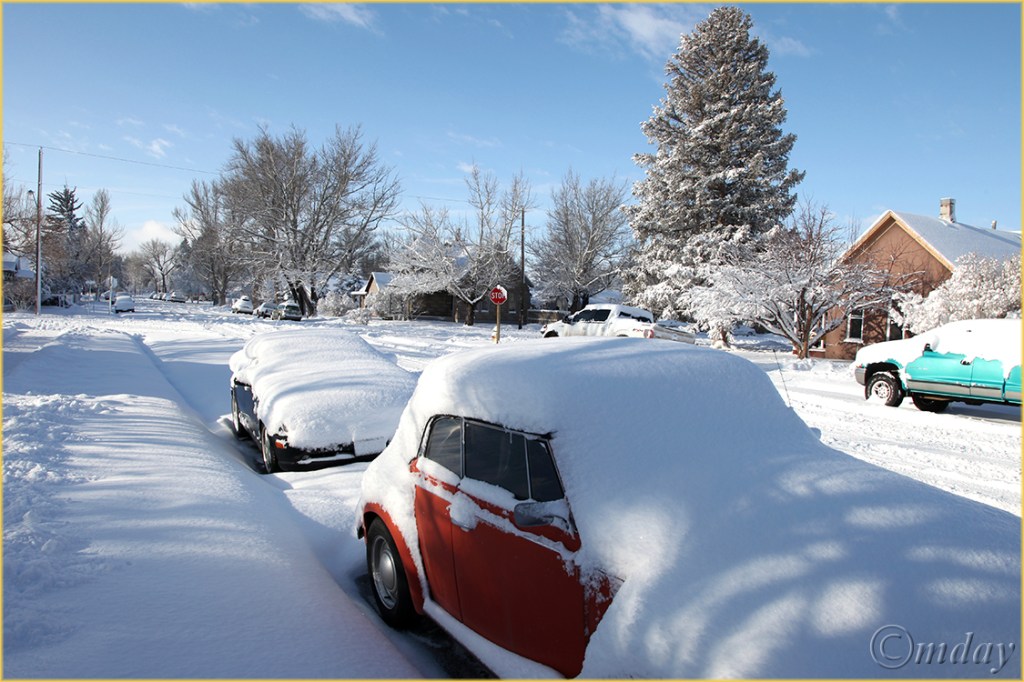 5Dll*c3156VWBug&SnowMar'13(7.5x5,cpywrt)