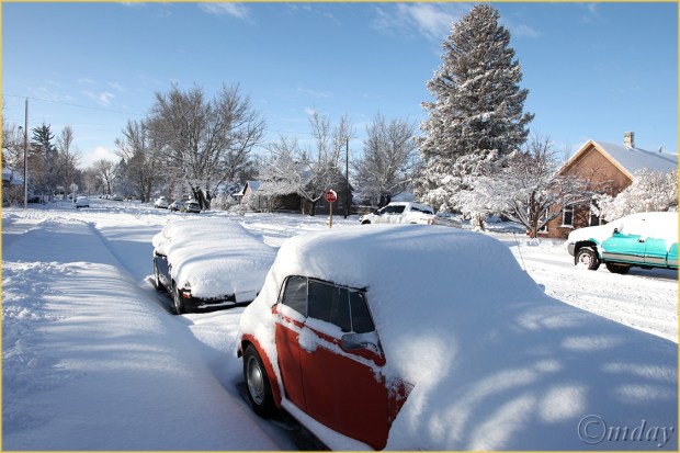 5Dll*c3156VWBug&SnowMar'13(7.5x5,cpywrt)