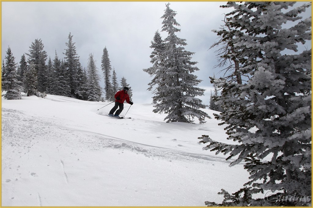 18.5Dll*c4590EdSteamboat'13(7.5x5,cpywrt)