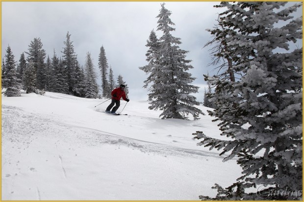 18.5Dll*c4590EdSteamboat'13(7.5x5,cpywrt)