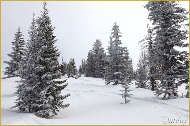 18B.5Dll*c4606Steamboat'13(7.5x5,cpywrt)