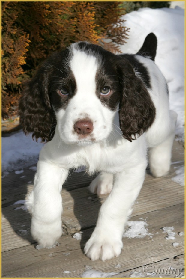 1DMkllb6563Rusty6weeks(7.5x5,cpywrt)