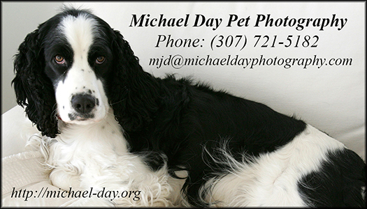 PetPhotographyBusCard(3.5x2,150r)
