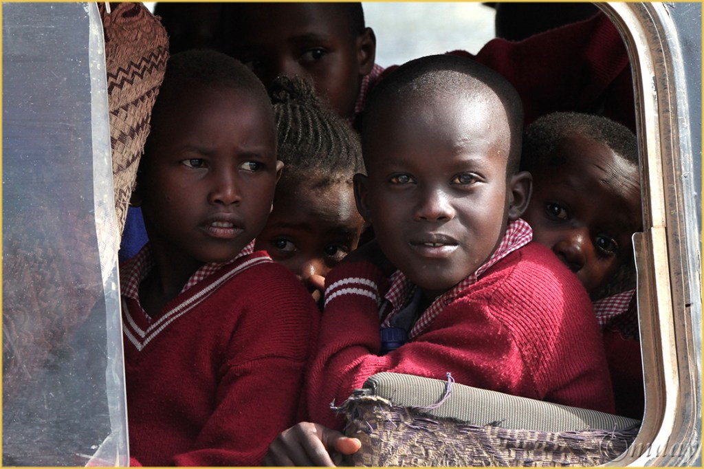 5.5Dllb0404SchKidsSamburu'13(7.5x5,cpywrt)