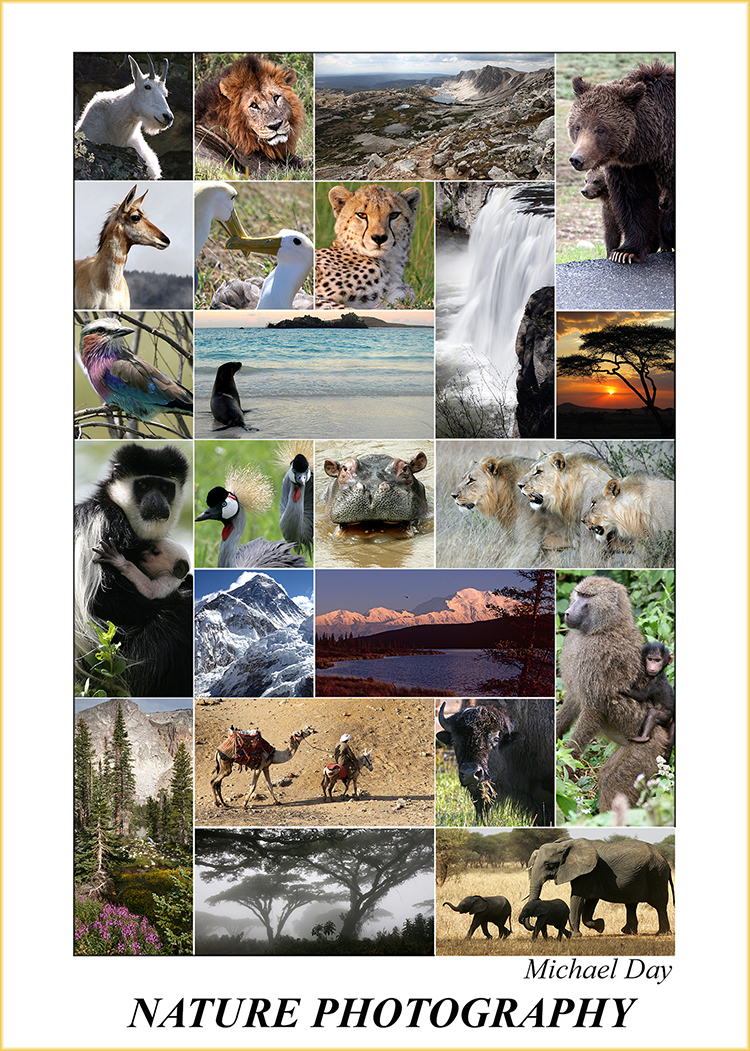 NaturePhotographyPoster(7.5x5,150rr)