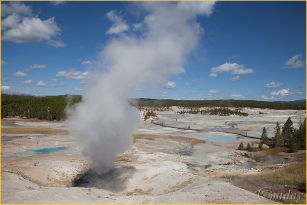 5Dll*d5973NorrisBasinYNP'13(7.5x5,cpywrt)