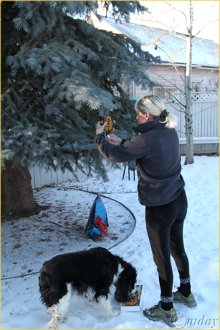 3b.5Dllc0385Susan&TrapperChristmas'13(7.5x5,cpywrt)