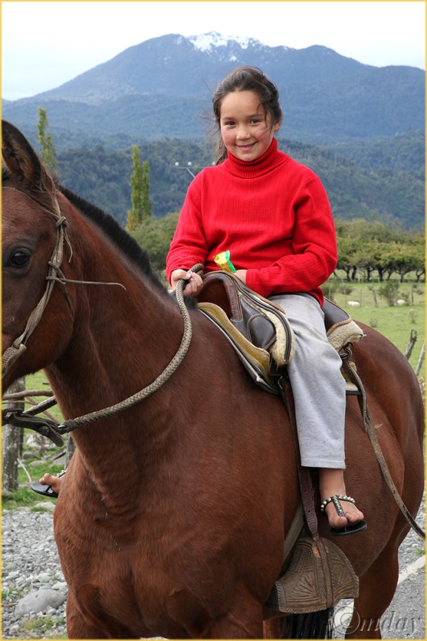 5Dll*d9151Chile'14(7.5x5,150cpywrt)