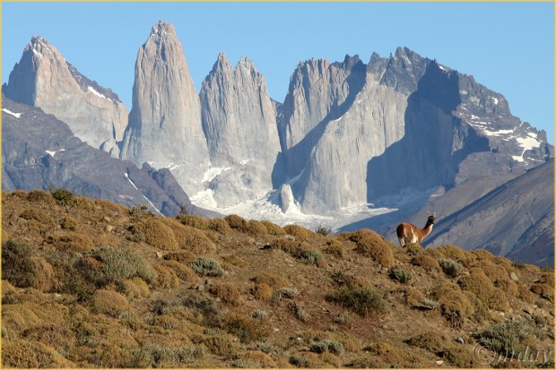 5Dll*e1578Chile'14(7.5x5,150cpywrt)