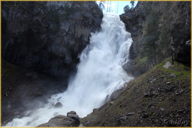 5Dll*e3654zOspreyFallsJun'14(7.5x5,150rr,cpywrt)