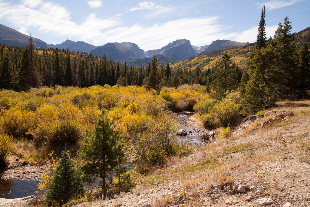 1.5DIIc3977NearBearLkRM'15(b7.5x5,150rrcpywrt)