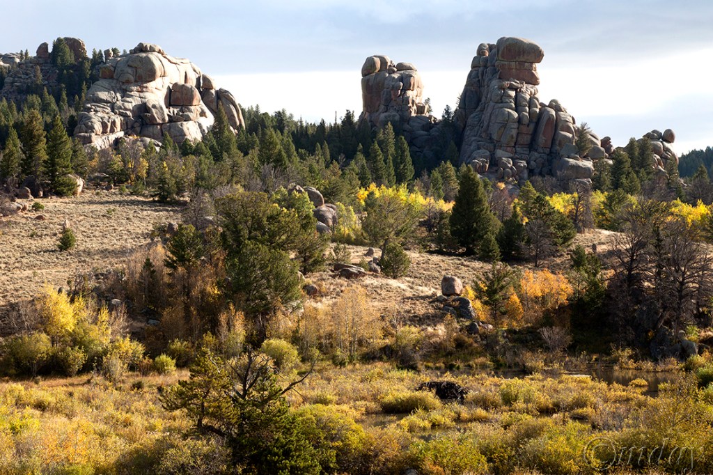 2.5DIIc3551(Cl7.5x5,150rrcpywrt)