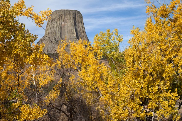 7.5Dll*f8683Devil'sTower(7.5x5,150rrcpywrt)