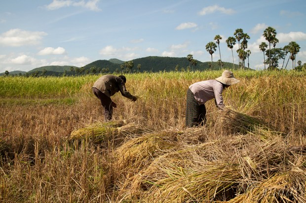 14.5DIIc5231KampongChhnangCambodia(7.5x5,150rrcpywrt)