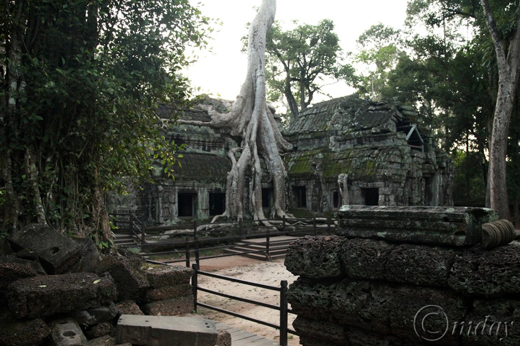 17.5DII*g6412TaProhm(7.5x5,150rrcpywrt)