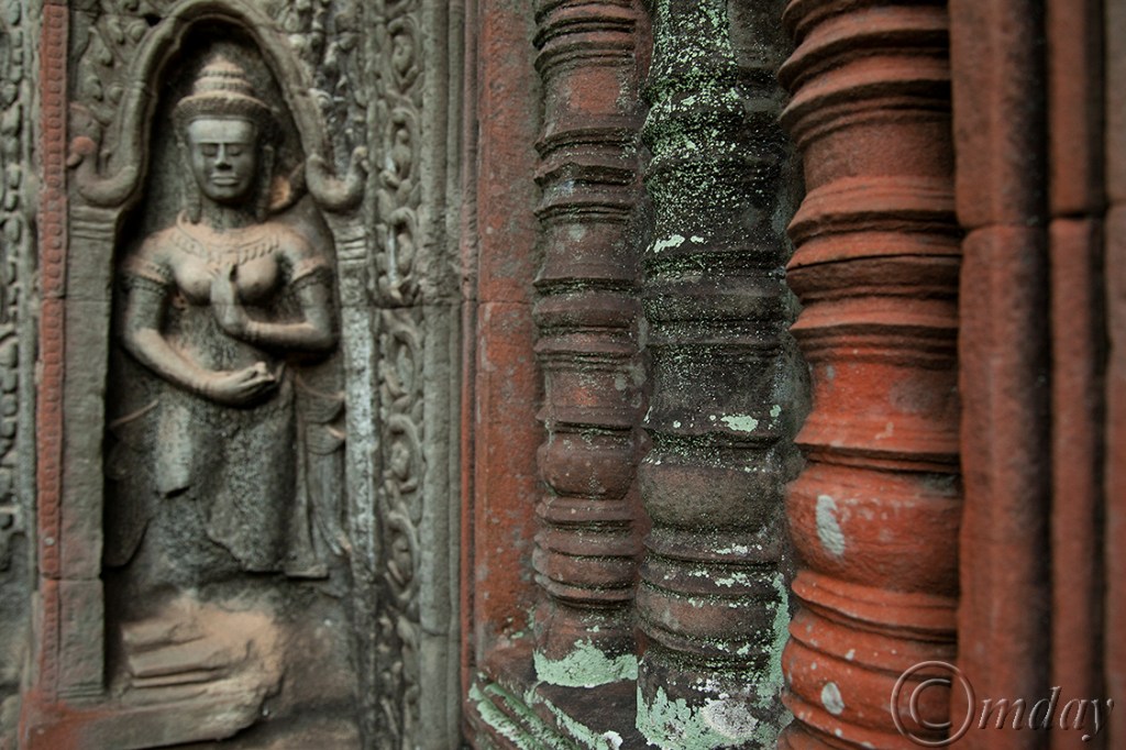 18.5DII*g6432TaProhmRAW(7.5x5,150rrcpywrt)