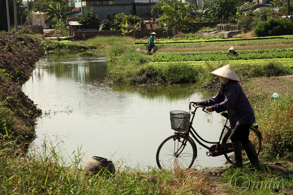 8.5DII*g0426RdtoHalongBay(7.5x5,150rrcpywrt)