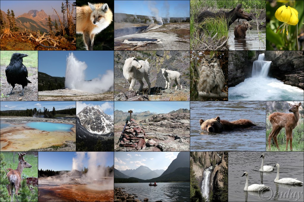 MajesticCollage21-40(7.5x5,300cpywrt)