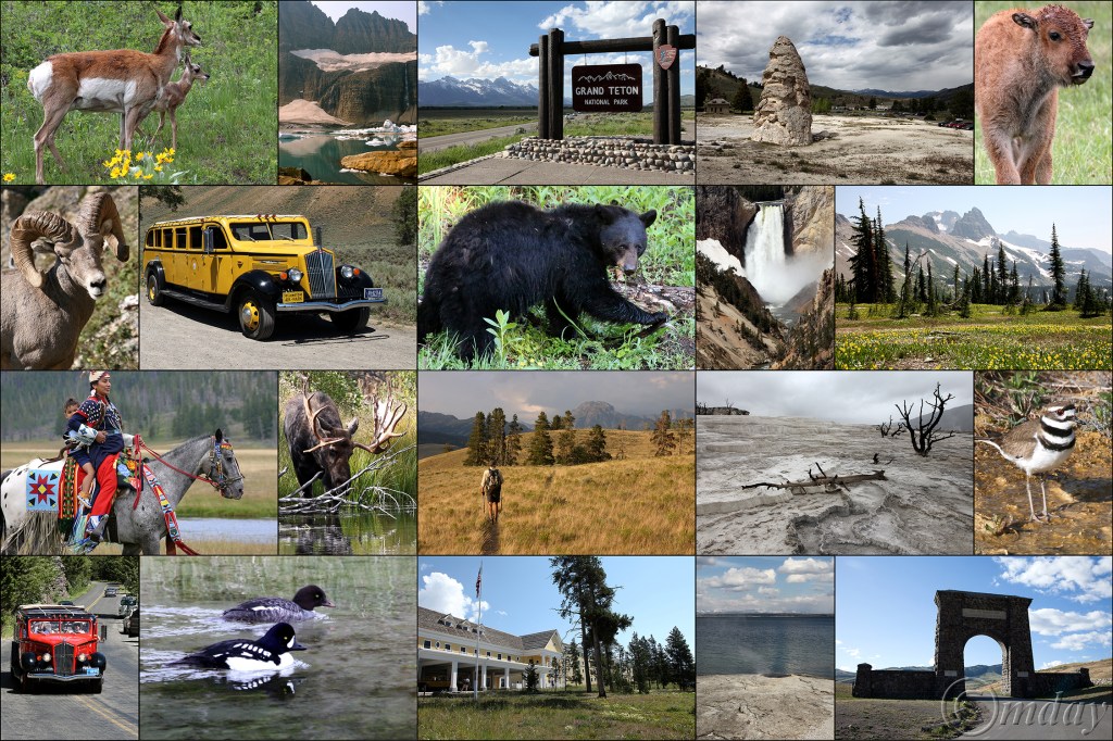 MajesticCollage41-60(7.5x5,300cpywrt)