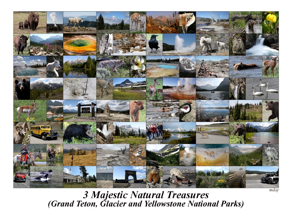 MajesticParksCollage(7.5x5.2,300label)