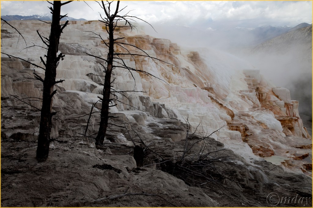 1.5DIIc5970MammothTerraceYNPMay'16(7.5x5,300cpywrtbd)