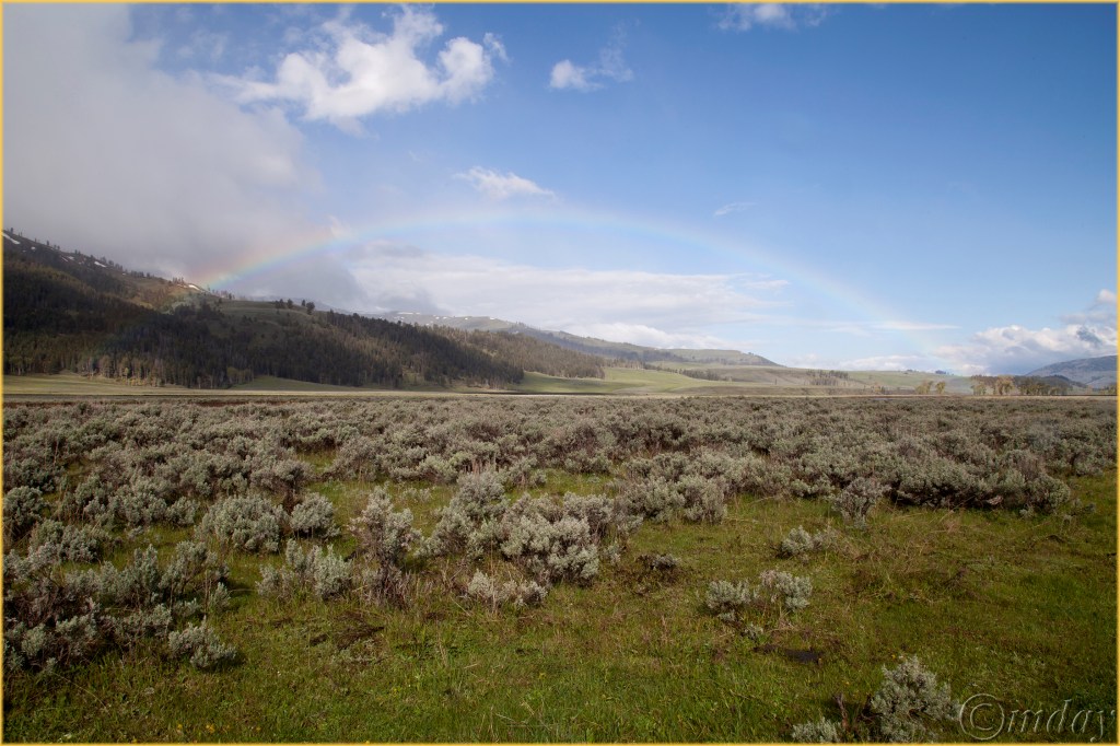 7.5DIIc5902RainbowLamarYNPMay'16(7.5x5,300cpywrtbd)