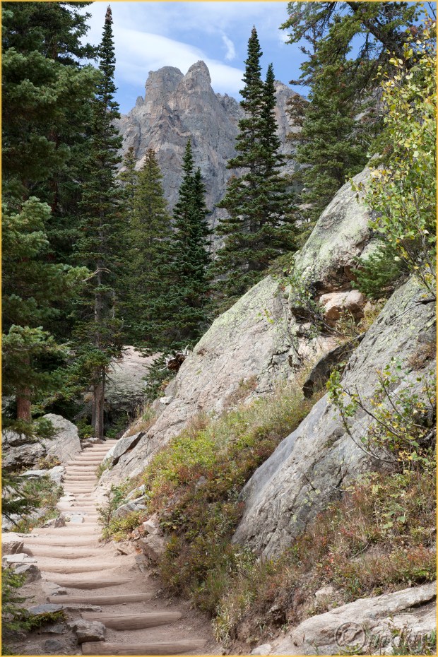 1-5diih3215dreamlkhikermnpsept167-5x5300cpyrt