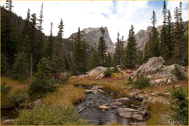 16-5diih3167dreamlkrmnpsept167-5x5300cpyrt