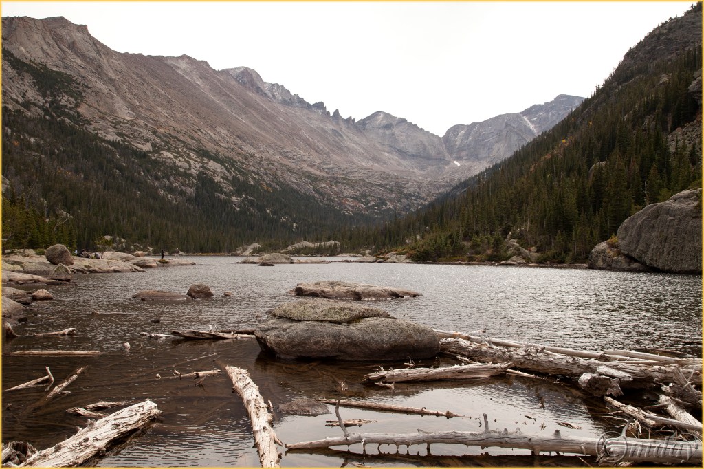 5diih3004millslkrmnpsept167-5x5300cpyrt