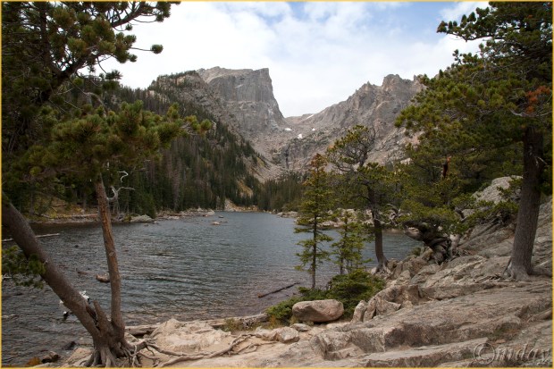 5diih3169dreamlkrmnpsept167-5x5300cpyrtd