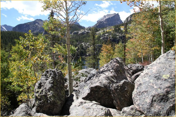 6-5diih2503bearlkrmnpsept167-5x5300cpyrt