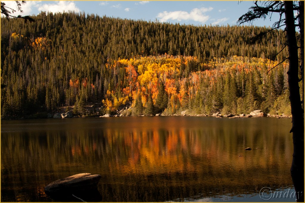 7-5diih2773bearlksept167-5x5300cpyrt