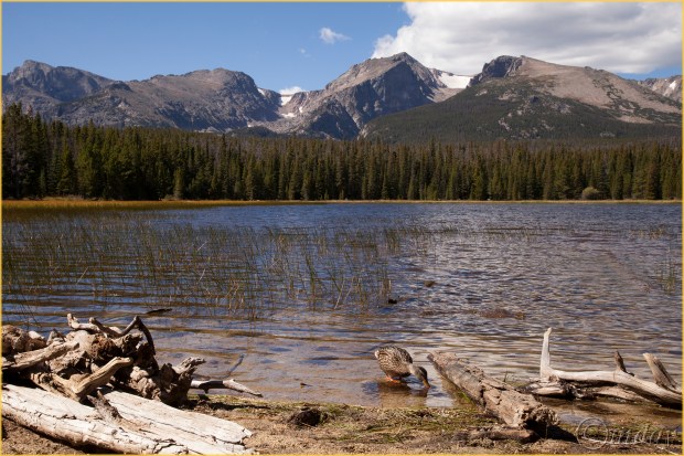 8-5diih2462bierstadtlkhikermnpsept167-5x5300cpyrt