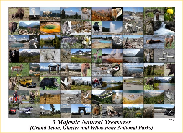 majesticparkscollage7-5x5-2300labelbd