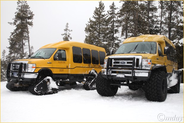 19-5diih4535snowcoachesynpfeb177-5x5300cpyrt