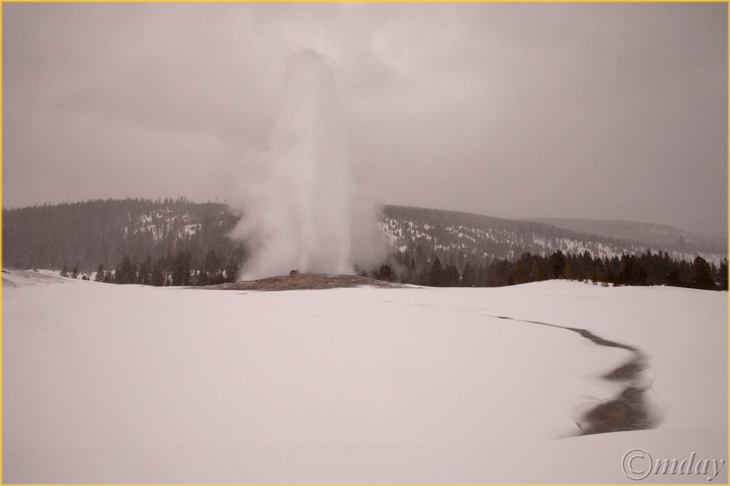 7-5diih4549oldfaithfulynpfeb177-5x5300cpyrt